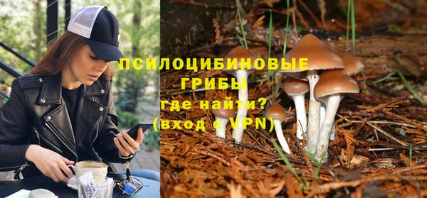 каннабис Новокубанск