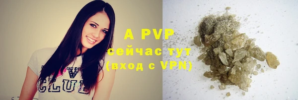 прущий лед Новозыбков