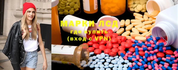 прущий лед Новозыбков