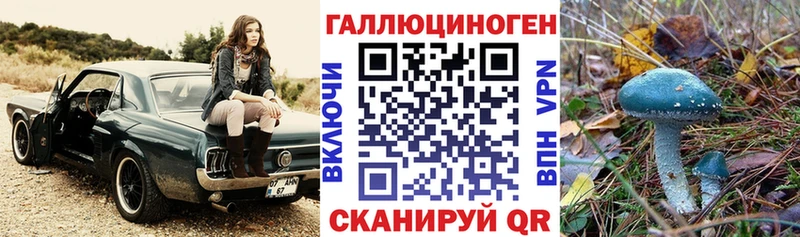 Псилоцибиновые грибы Cubensis хочу наркоту Красноармейск