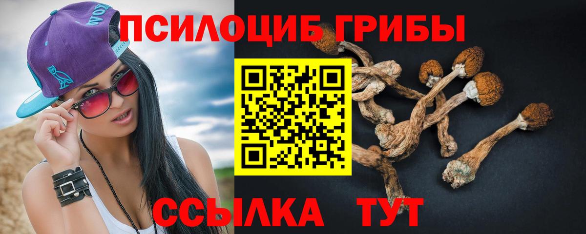 что такое наркотик  Псилоцибиновые грибы прущие грибы  Красноармейск  Вход с VPN  Галлюциногенные грибы MAGIC MUSHROOMS 
